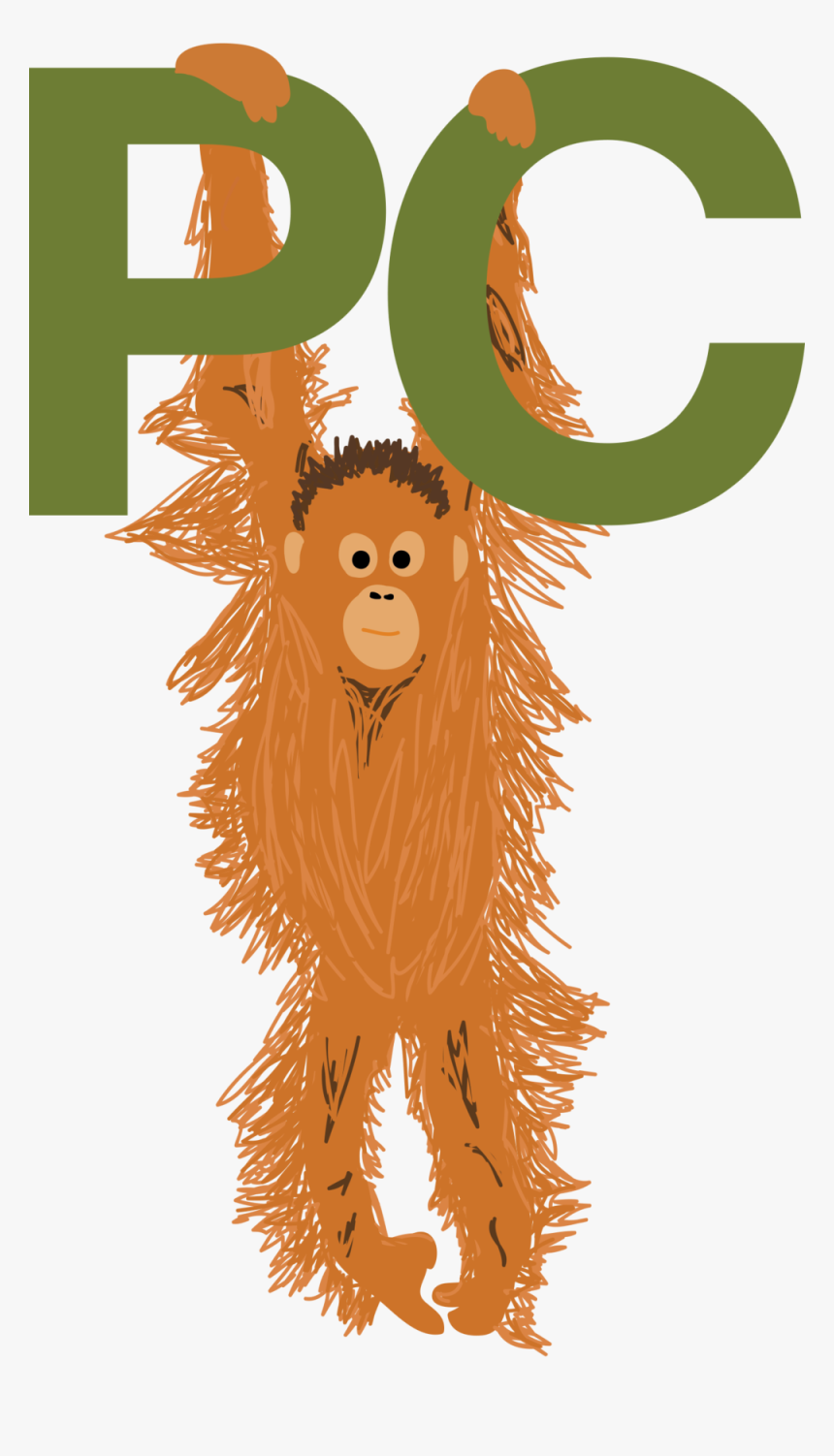 Orangutan - Illustration, HD Png Download