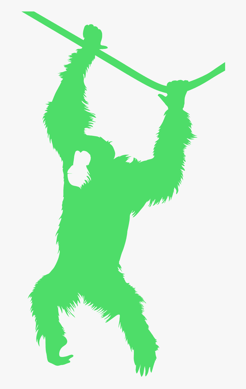 Orang Utan Vector, HD Png Download