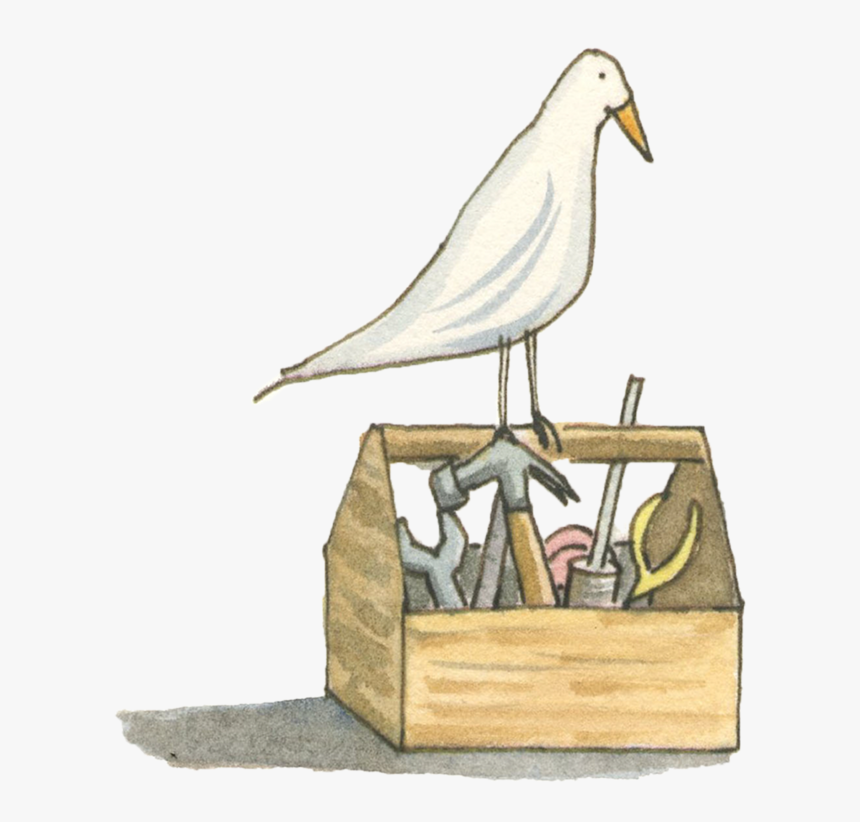 Tools Web - European Herring Gull, HD Png Download