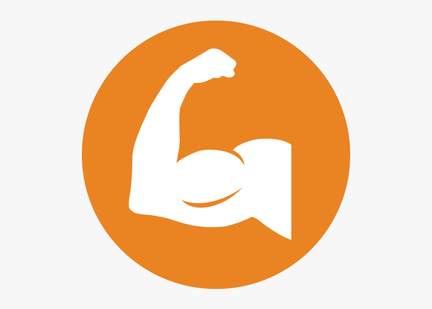 Circle, HD Png Download