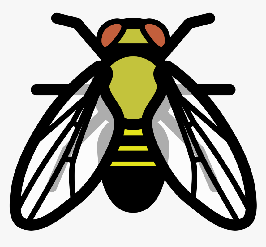 Drosophila Melanogaster Clip Art, HD Png Download