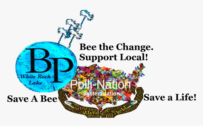 Kinds Of Triangle According, HD Png Download