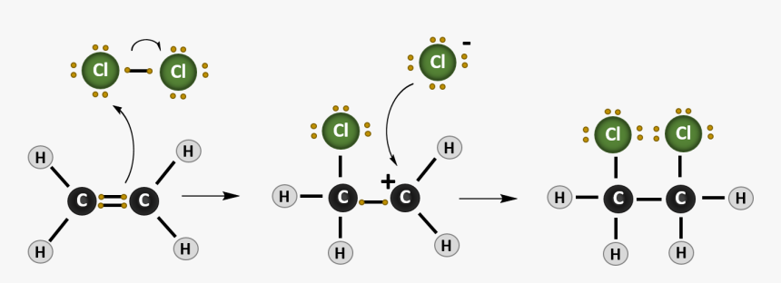 Circle, HD Png Download