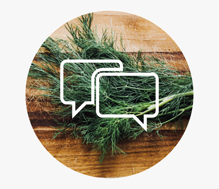 Grass, HD Png Download