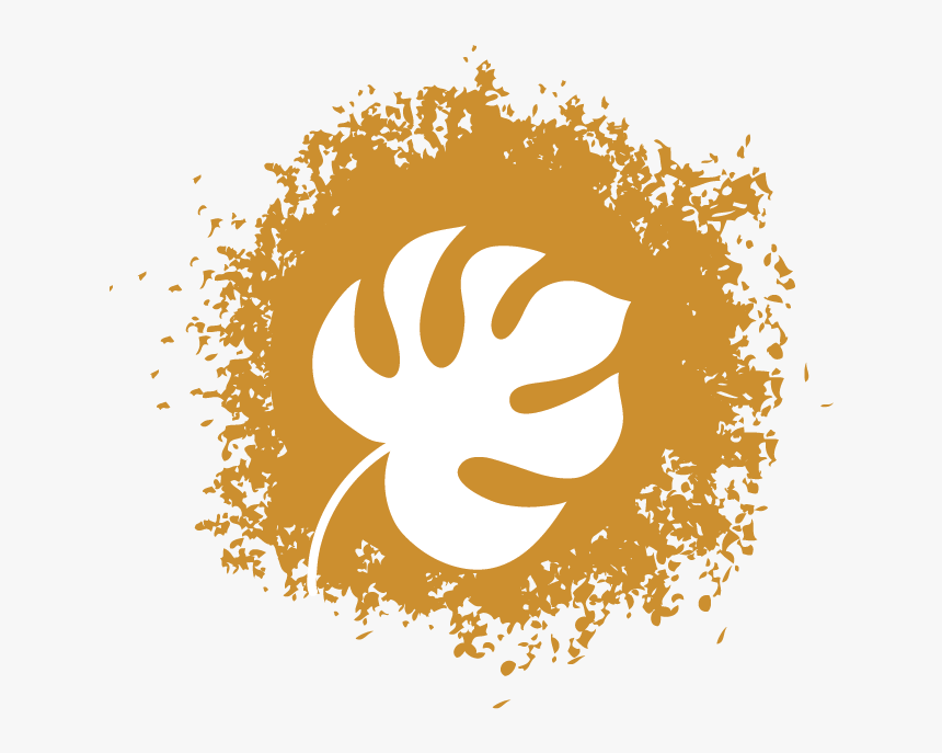 Leaf, HD Png Download