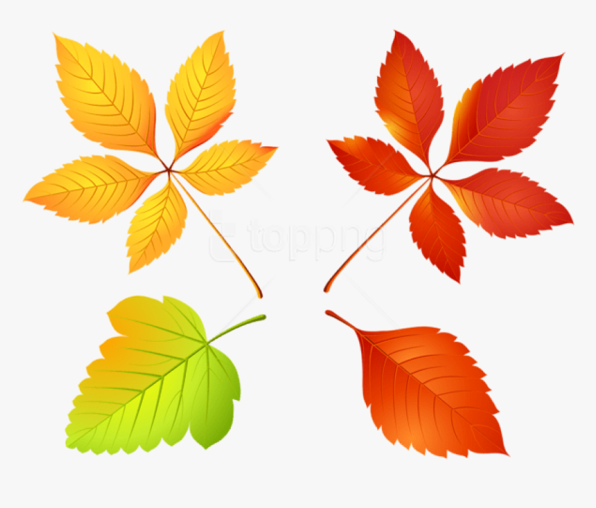 Free Png Download Autumn Leaves Set Clipart Png Photo - Autumn, Transparent Png
