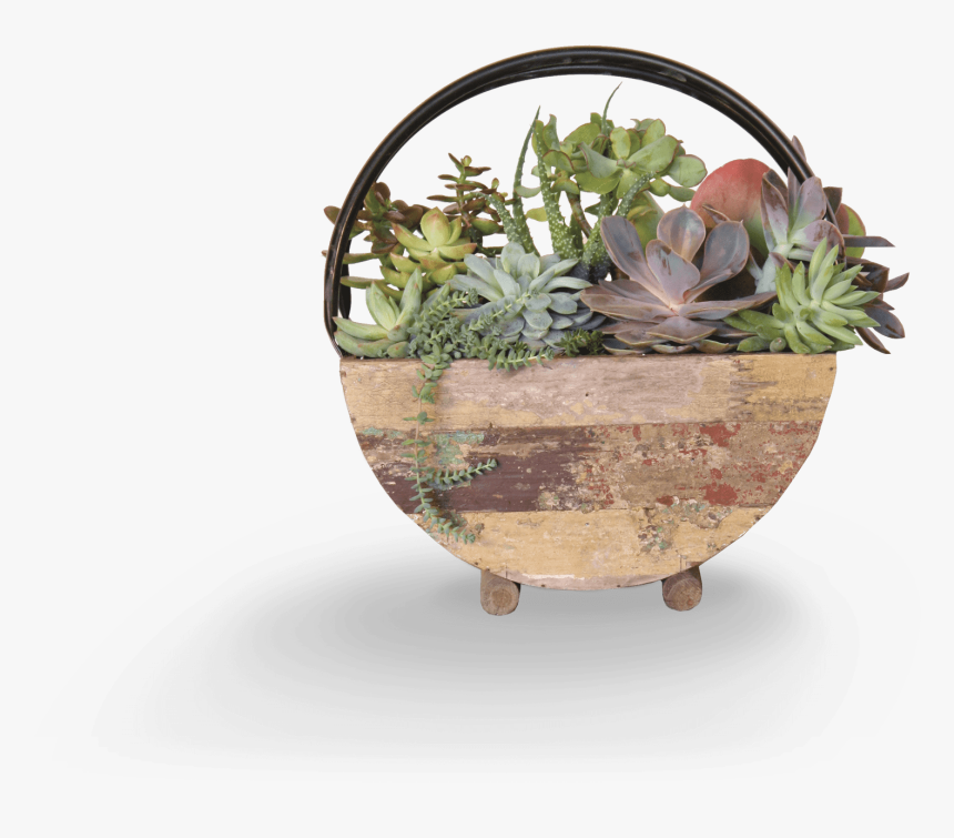 Flowerpot, HD Png Download