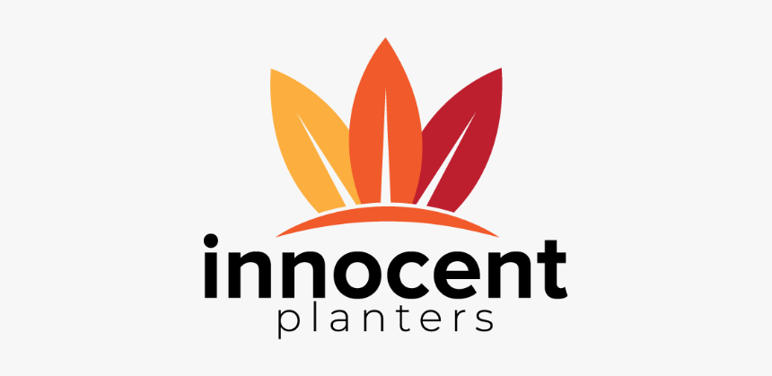 Innocent Planters-bringing Character Into The Home - Graphic Design, HD Png Download