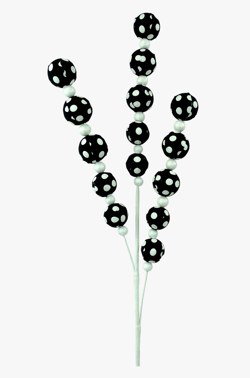 32 - Circle, HD Png Download