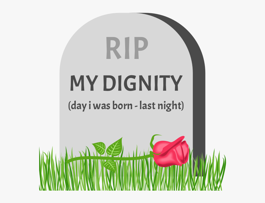 Tulip, HD Png Download