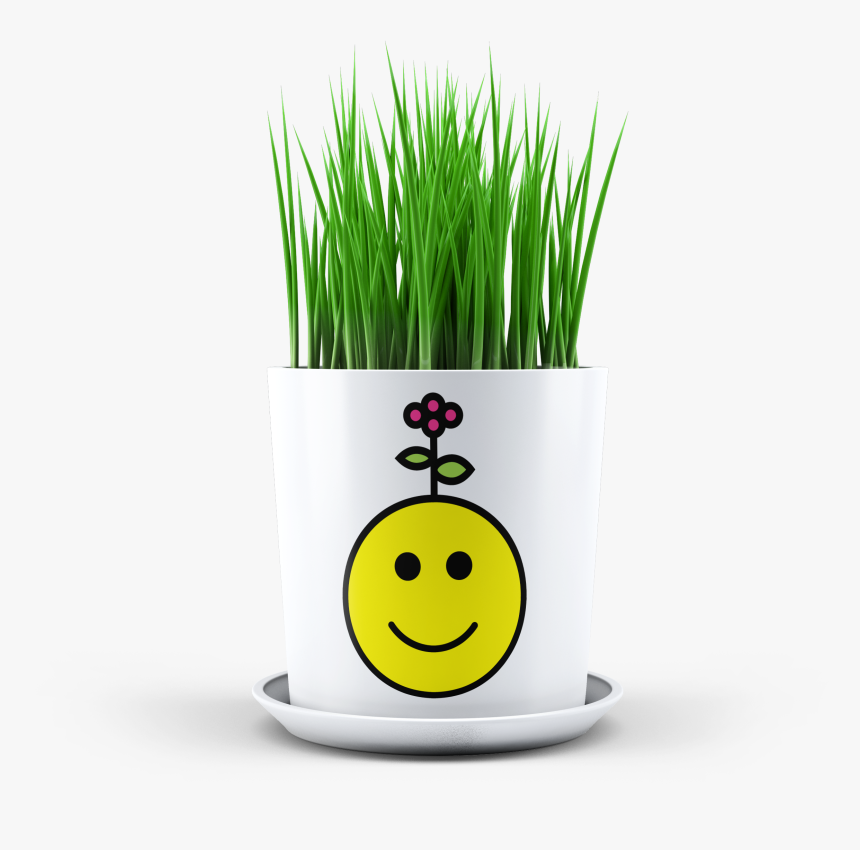 Smiley, HD Png Download