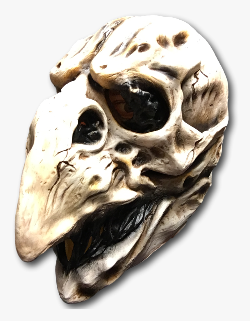 Day Of The Dead Bird Mask, HD Png Download