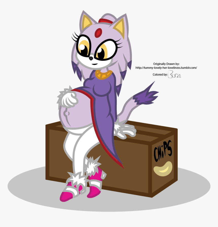 Blaze The Cat - Cartoon, HD Png Download