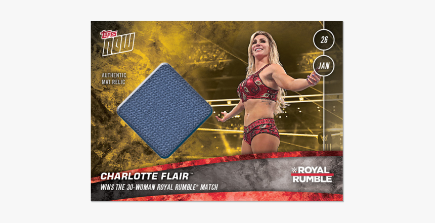 Mat Relic - Wwe, HD Png Download