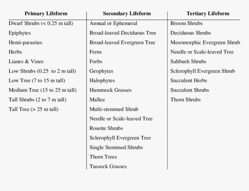 Life Form Categories, HD Png Download