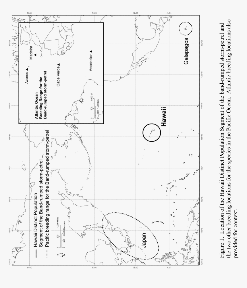 Diagram, HD Png Download