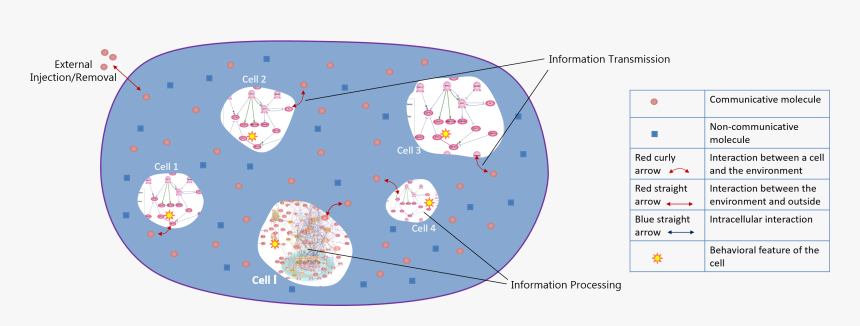 Circle, HD Png Download