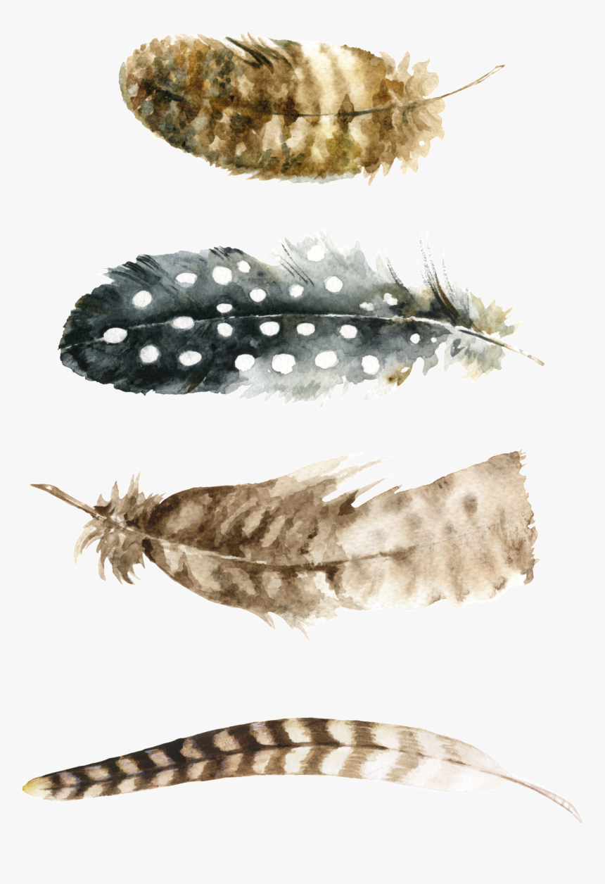 Wall Printable Free Feather, HD Png Download