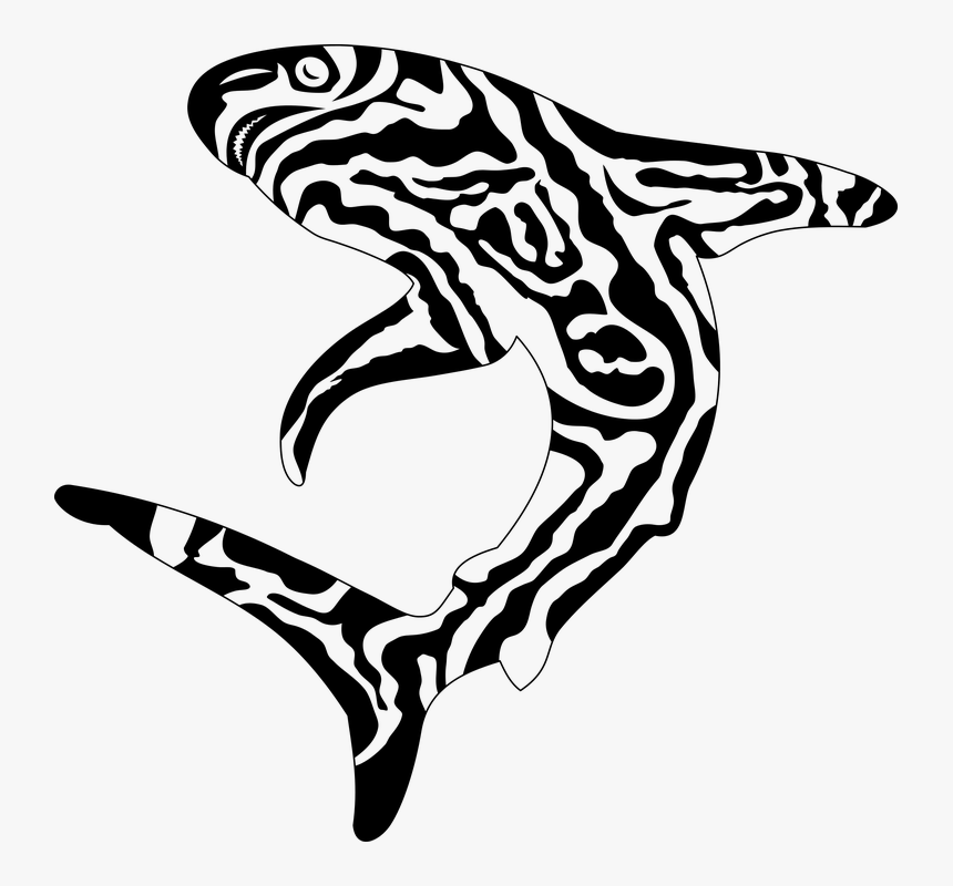 Tiburon Tribal, HD Png Download