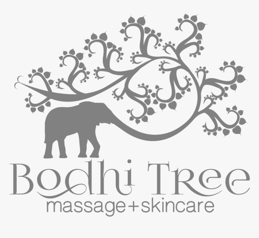 Logo - Bodhi Tree Cle Logo, HD Png Download