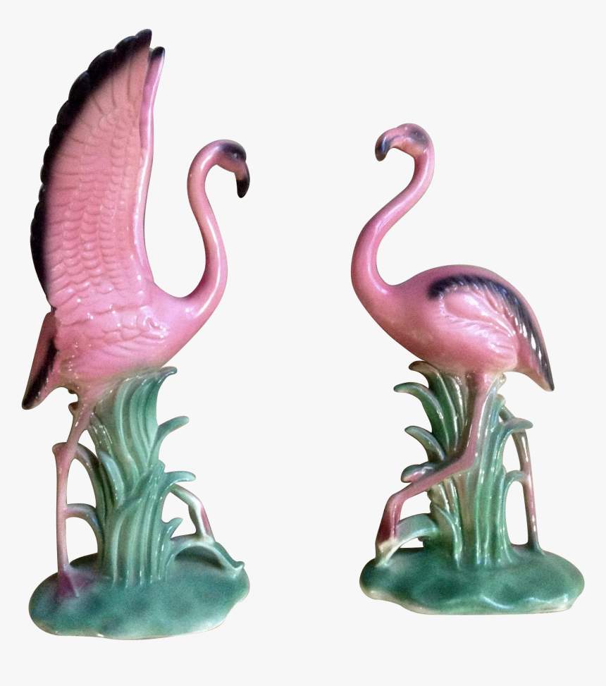 Greater Flamingo, HD Png Download