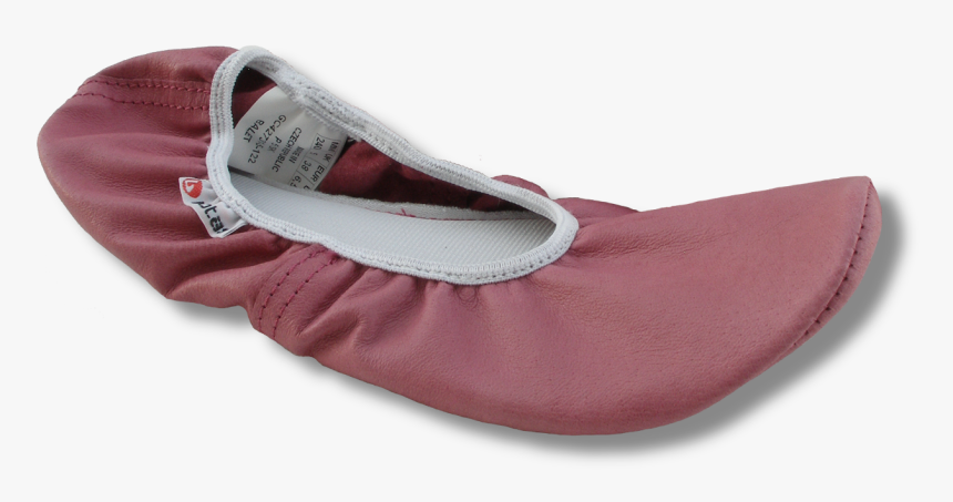 Ballet Shoes Botas Pink Dancing And Ballet Flats From - Gymnasticka Obuv, HD Png Download