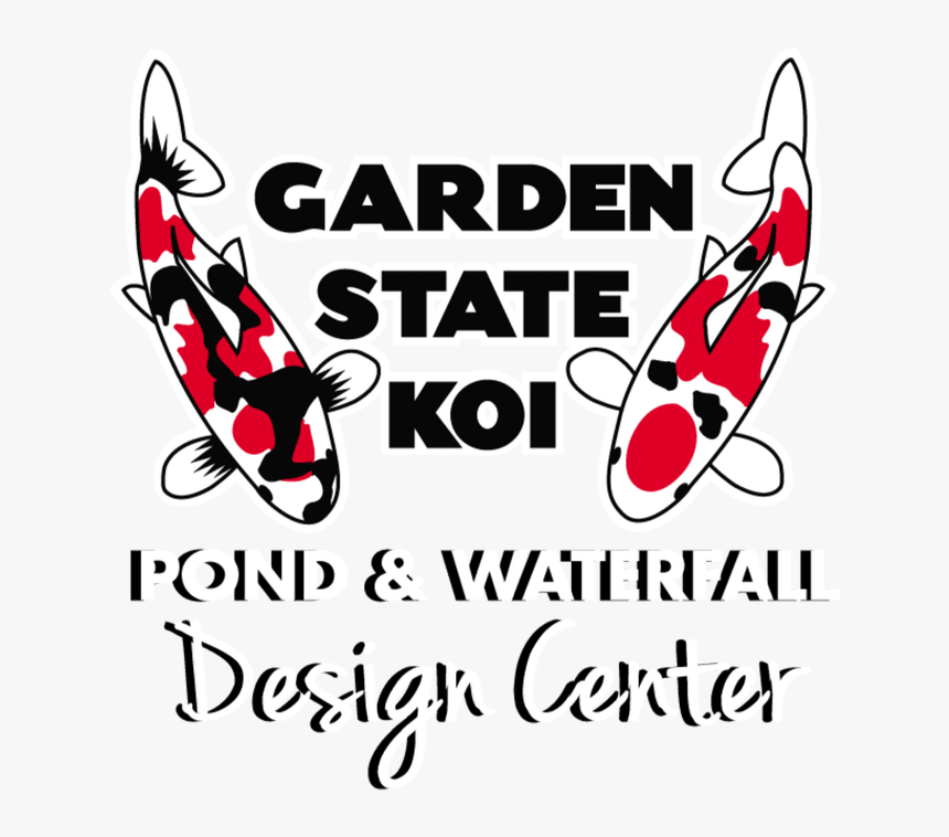 Picture - Koi Fish For Sale Nj, HD Png Download