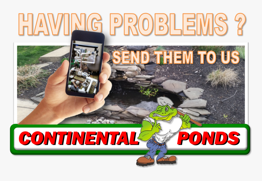 Picture - Pond, HD Png Download