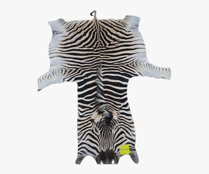 Sweater, HD Png Download