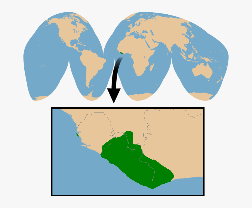 Do Zebra Duikers Live, HD Png Download