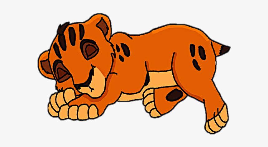 Baby Taka - Tiger, HD Png Download