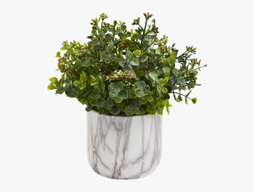 Eucalyptus Plant Faux, HD Png Download