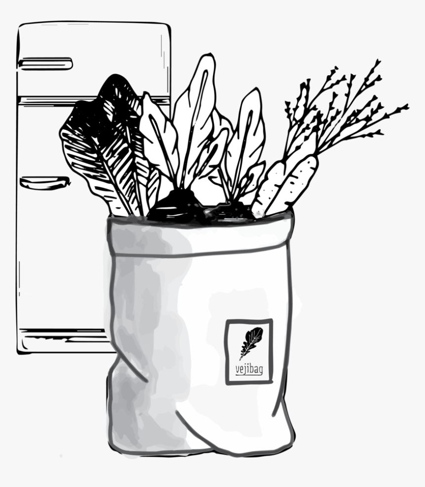 Store And Enjoy - Flowerpot, HD Png Download