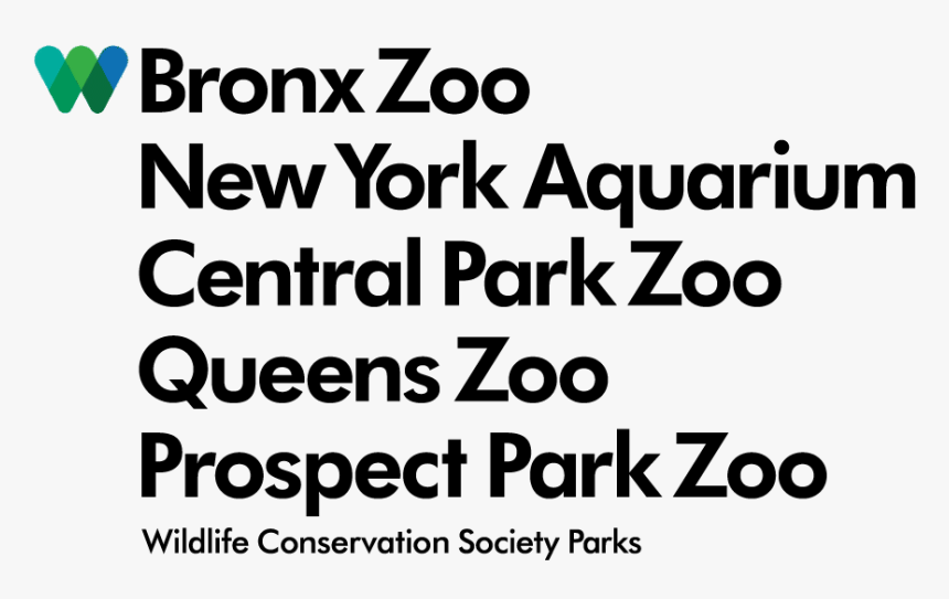 Hp Preferred Partner 2010, HD Png Download