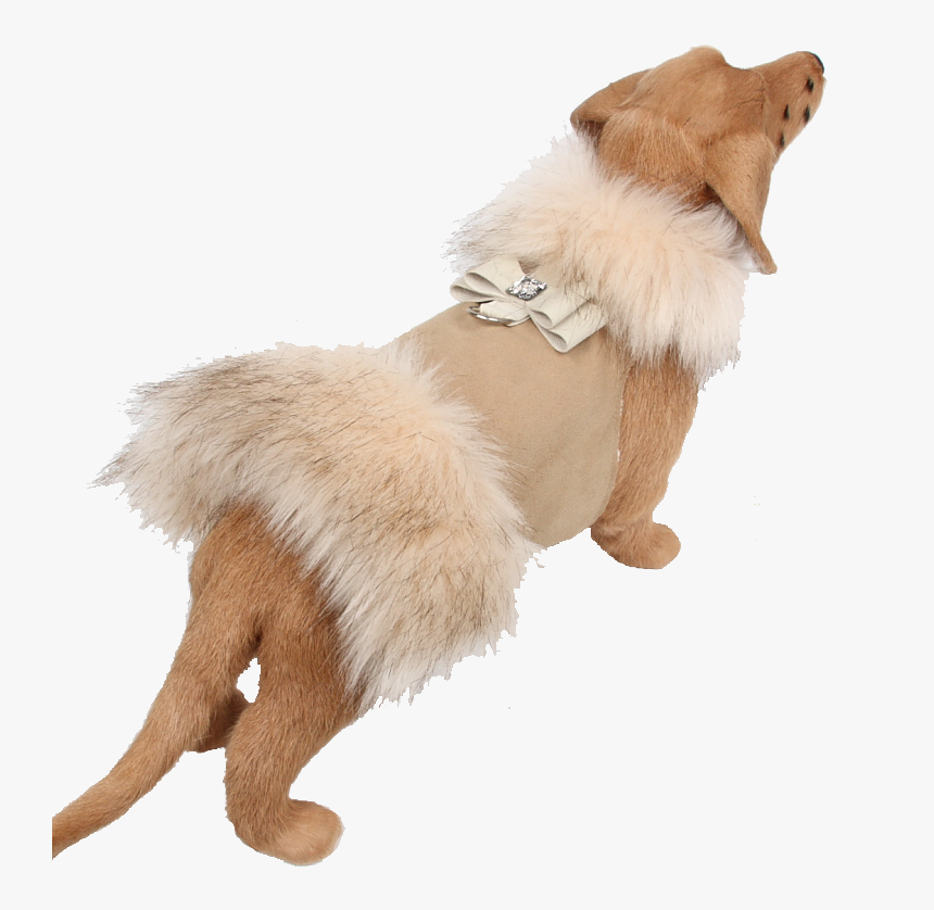 Susan Lanci Png, Transparent Png