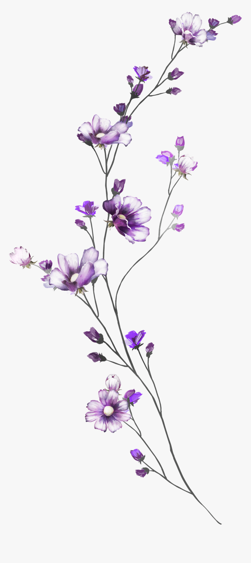 Wedding Flowers Design Png, Transparent Png