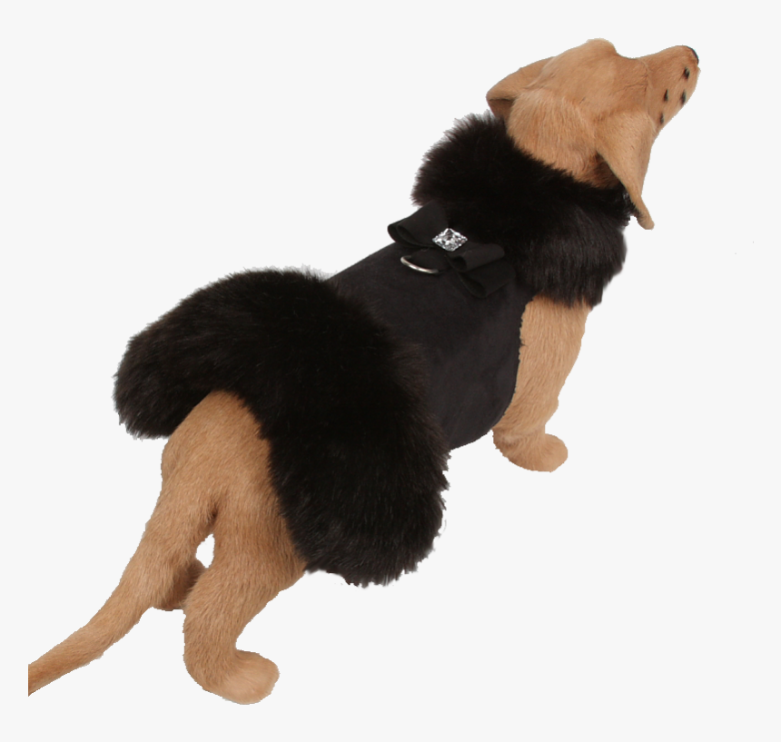 Coat, HD Png Download