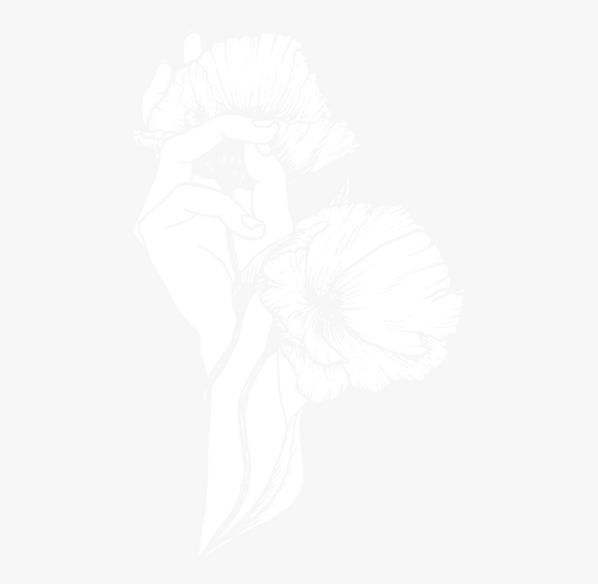 Illustration, HD Png Download