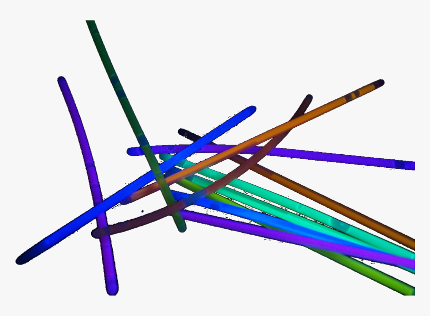 Circle, HD Png Download