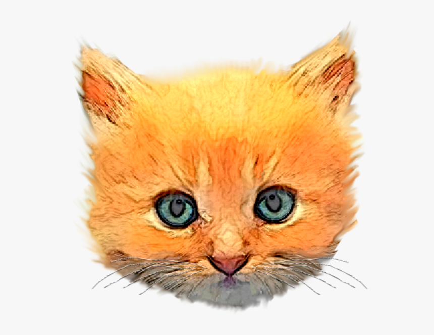 Png Kitten, Transparent Png