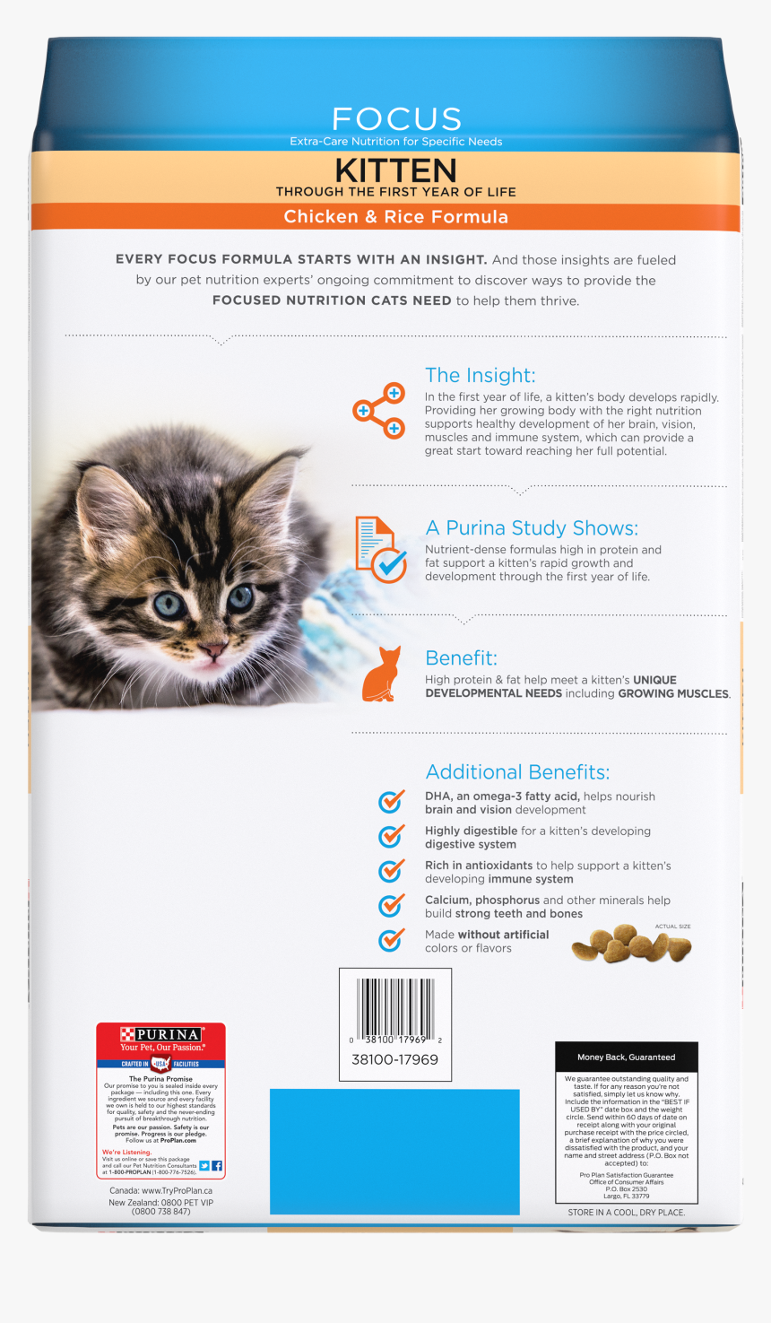 Domestic Short-haired Cat, HD Png Download