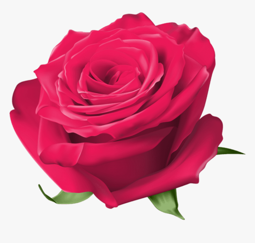 Rose Clip Art - Transparent Background Yellow Rose Png, Png Download