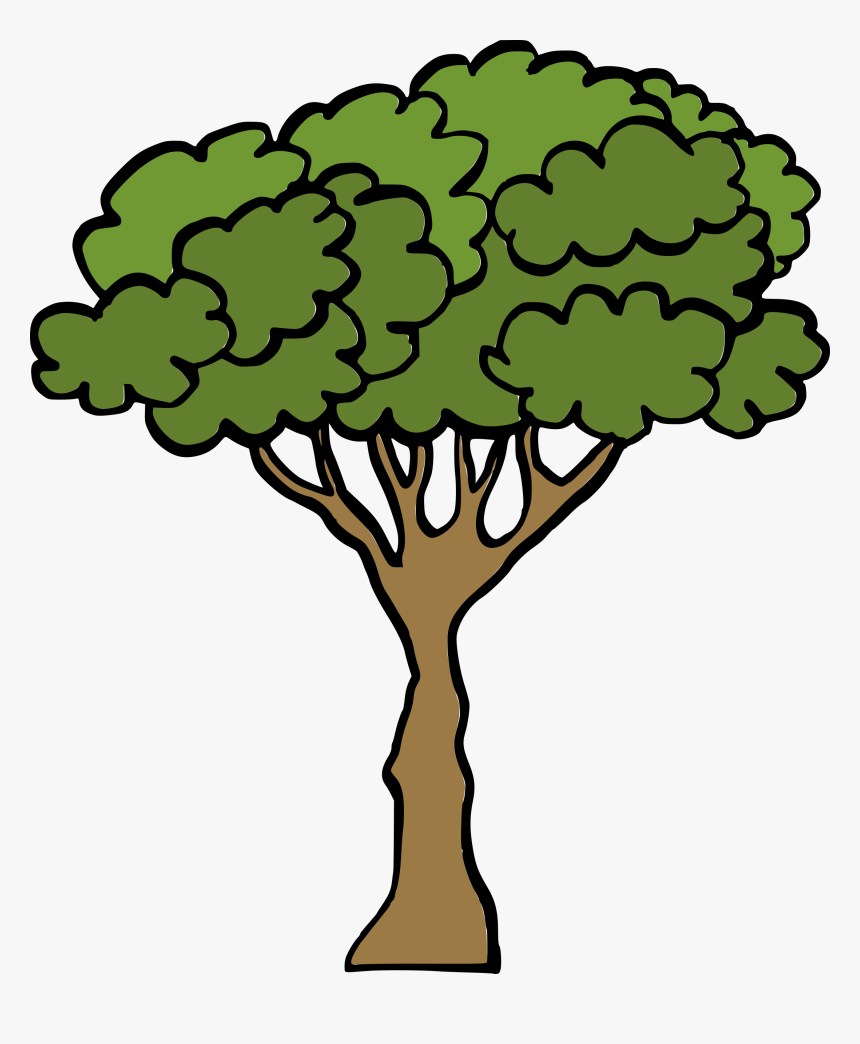 Cartoon Tree 3 - Tree Cartoon Png Transparent, Png Download