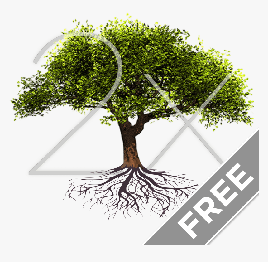 Minuet In Love Magic As Cat, HD Png Download