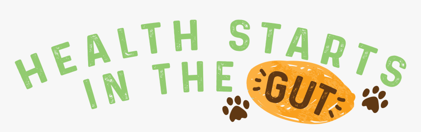Health Starts In The Gut - Illustration, HD Png Download