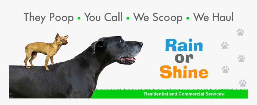 Dog Yawns, HD Png Download