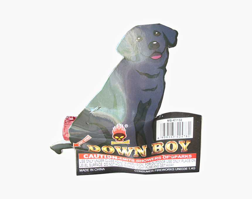 Labrador Retriever, HD Png Download