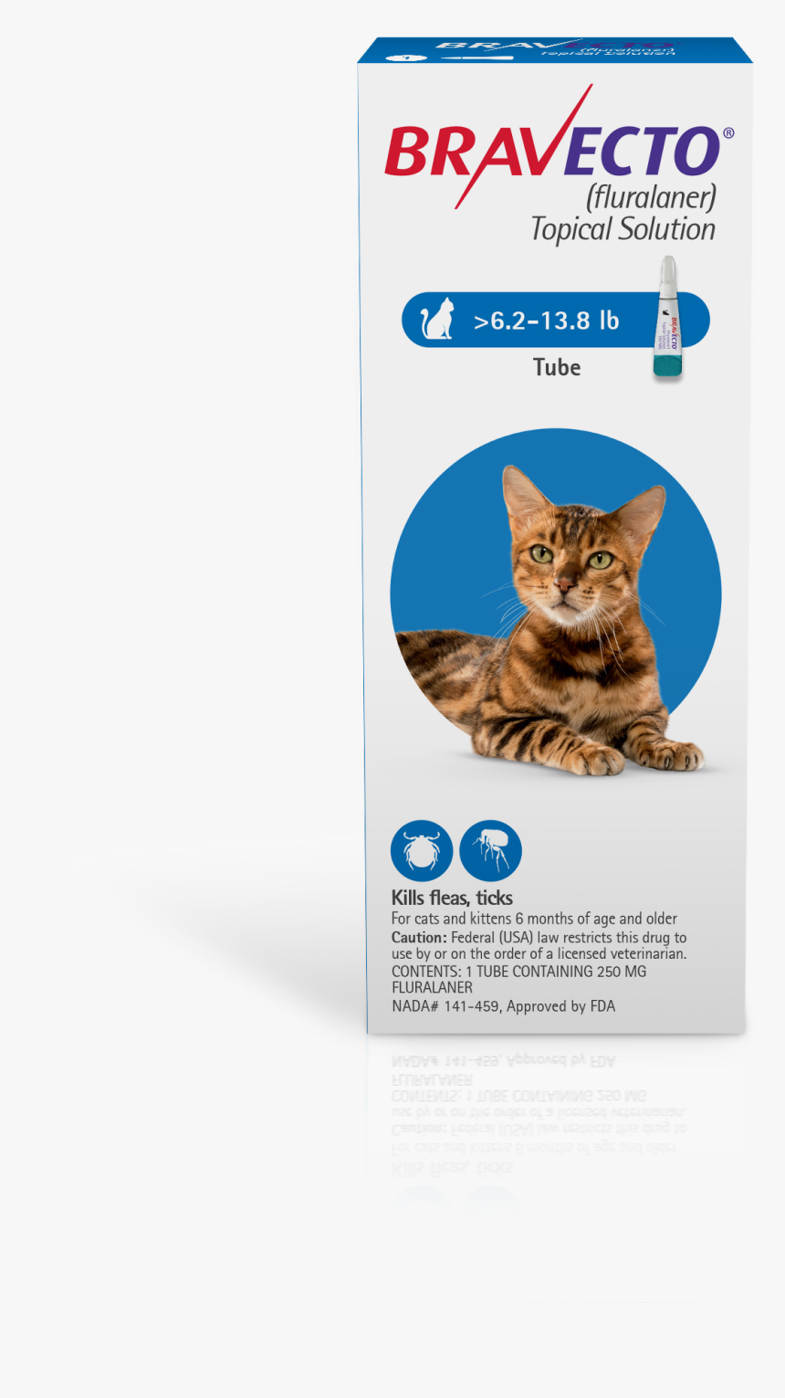 Bravecto Topical Solution For Cats - Bravecto For Cats, HD Png Download