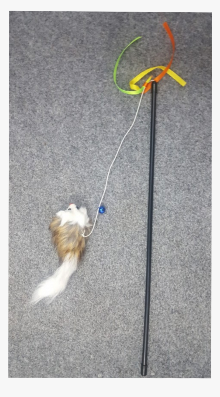 Puma, HD Png Download