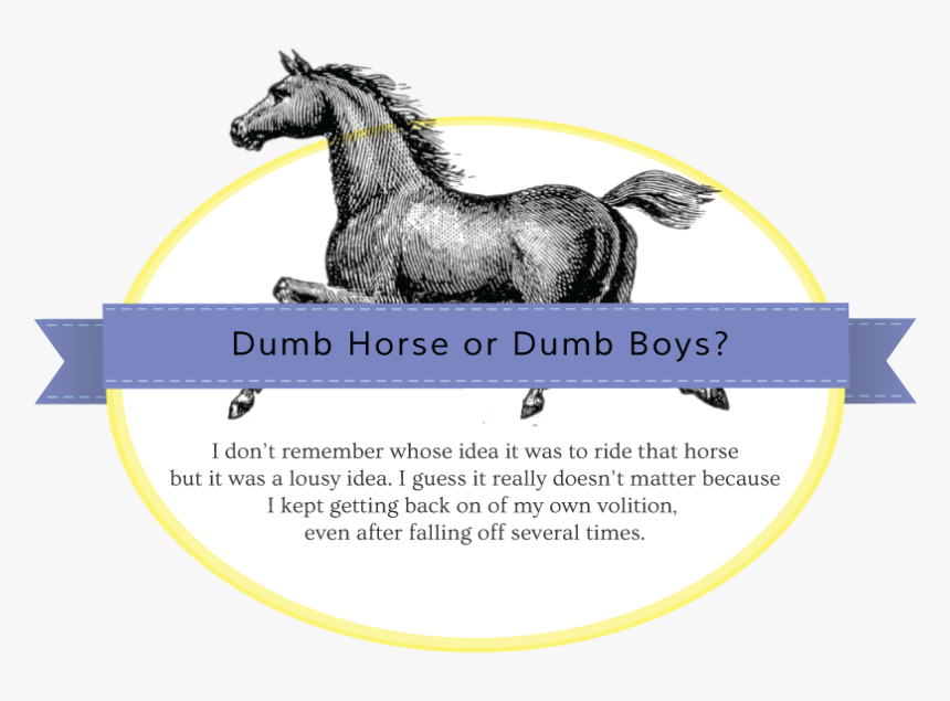 Horse-badge - Mane, HD Png Download